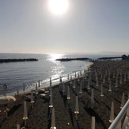 Phoenix Bed and Breakfast